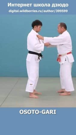 Интернет школа дзюдо. OSOTO-GARI5