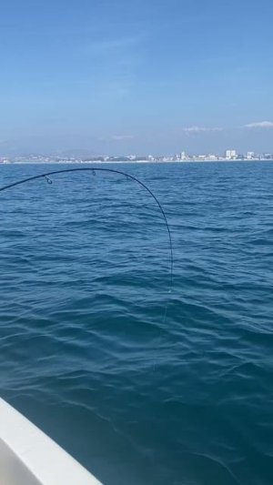 Ловим мерланга в Адлере.