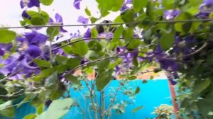 Кирова Первомайская 8ч 2к изол Дом