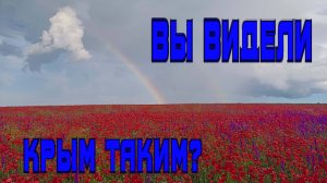 Где маки в Крыму?почти везде,маковые поля!  Море маков!