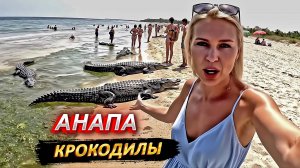 Анапа. Крокодилы на пляже в Анапе! 🐊🏖️ Мнения отдыхающих
