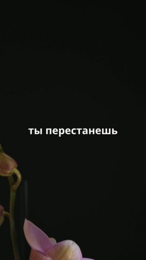 Мудрец однажды сказал...