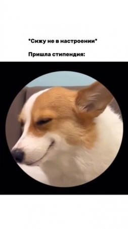 Настроение сразу улучшилось