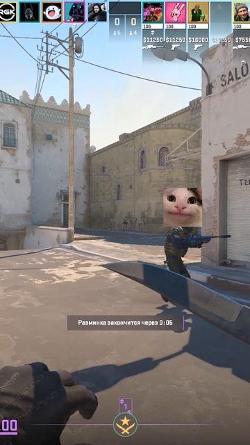 ПРИКАЛЫВАЕМСЯ НА РАЗМИНКЕ #csgo #reels #csgo #gaming #counterstrike #cs2 #csgoc