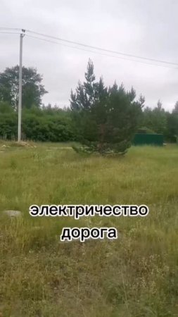 крутиха1видео