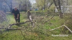 🏡Домашний влог. Работа кипит. Выкарчевали сад.