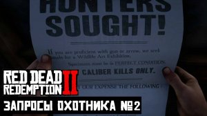 Это искусство | Запросы Охотника №2 в Red Dead Redemption 2