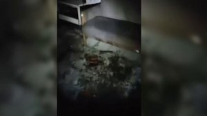 1000011303.mp4