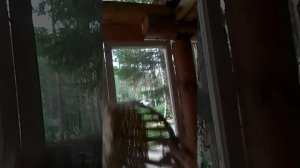 не добрые коты