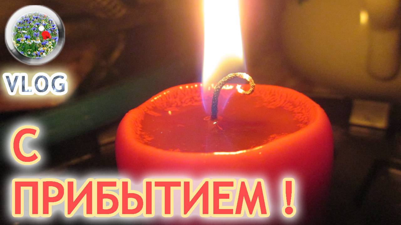 Я приехала на дачу! С прибытием меня! Влог 12