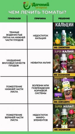 Чем болеют томаты