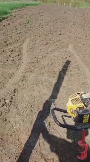 "Посадка" яблонь на подвое м9
