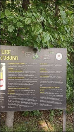 Выставка художника Фринденсрайха Хундертвассера в лесопарке Крцаниси (Грузия) 30.05.2025