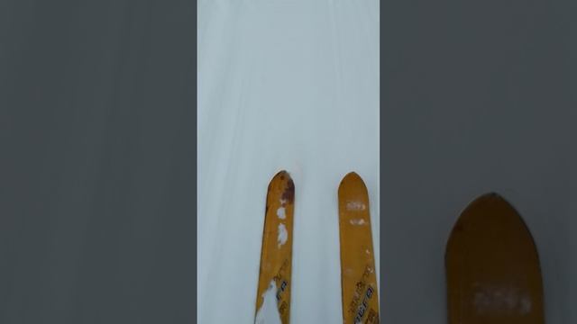 VID_20250302_155901.mp4