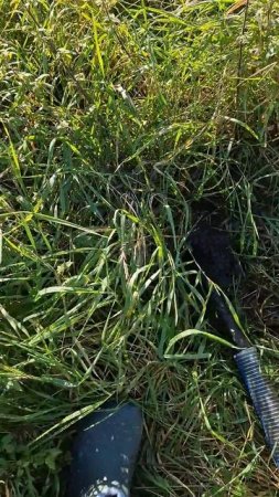 Цвет воды после мойки стен колодца