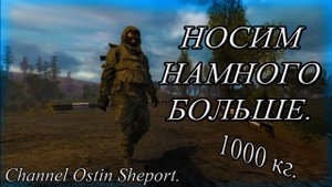 НОСИМ БОЛЬШЕ ГРУЗА В ИГРЕ STALKER. ОБЗОР. ОСТИН ШЭПОРТ. 2025 ГОД.