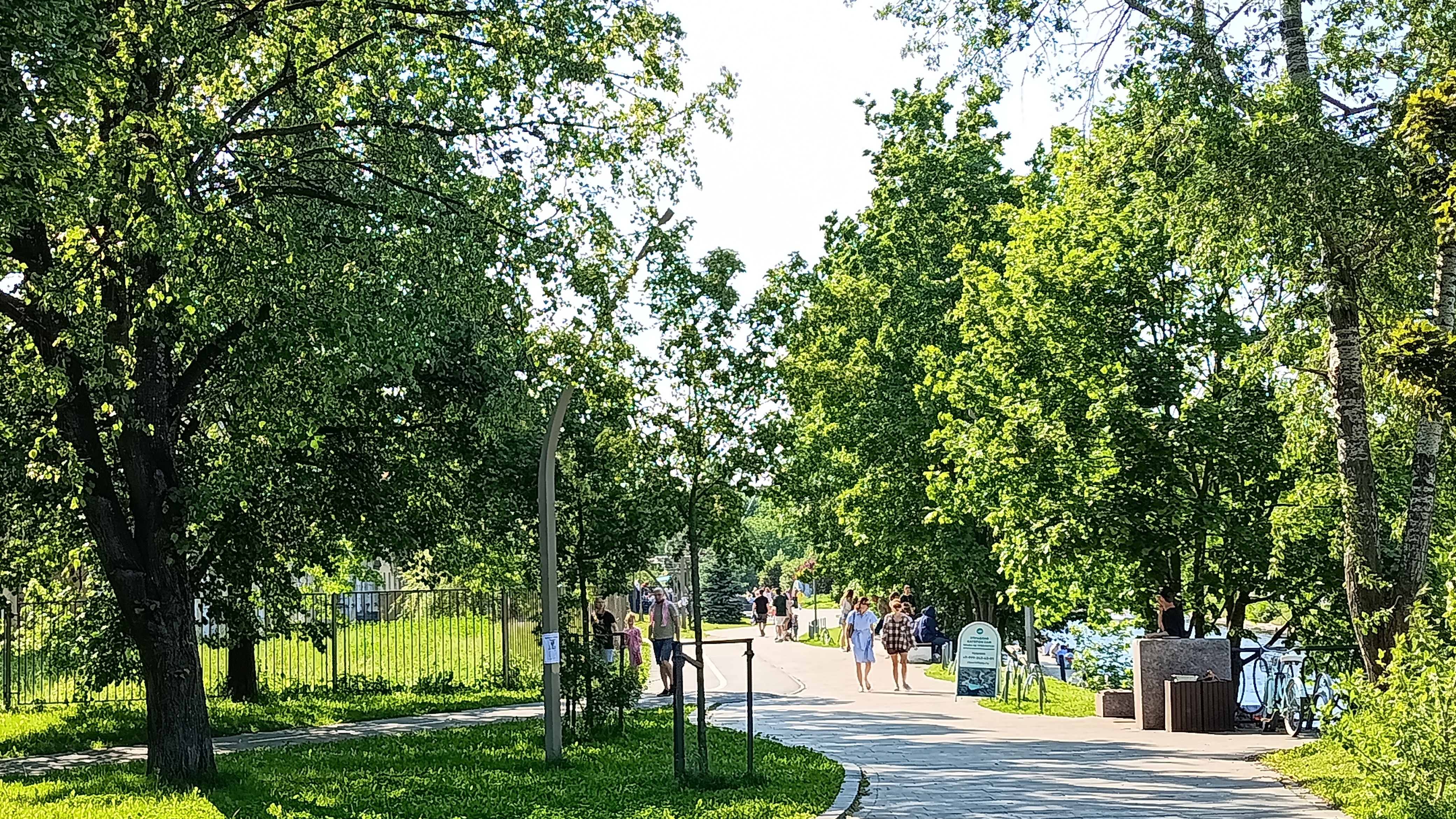 Лето в Батаническом саду смотреть онлайн