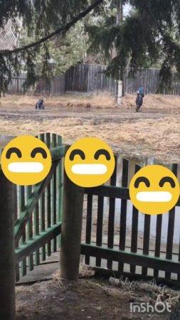 Дети купаются в луже