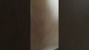 1000020011.mp4
