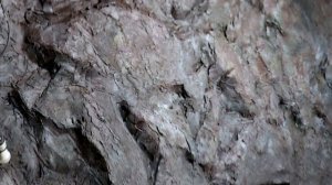 Скала в интерьере