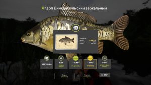 СУПЕР ТОЧКА С КУЧЕЙ КОИ И ФАРМОМ НА МЕДНОМ ОЗЕРЕ В НОРМАЛЬНУЮ ТЕМПЕРАТУРУ В РУССКОЙ РЫБАЛКЕ 4 РР4