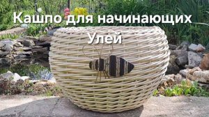 Кашпо для начинающих УЛЕЙ