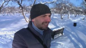 МИНИ ВЛОГ Кормушка для птиц в парке
