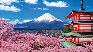 Наши за границей. Япония. Елена Филатова и Олег Шаландин.