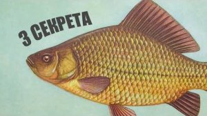 3 секрета, как поймать карася всегда и в любом месте — проверенные советы 2025
