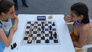 Сухарева Евгения и Кирдяшкина Екатерина  Партия №1