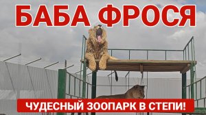 Баба Фрося: Удивительный зоопарк в сердце Астраханской степи!