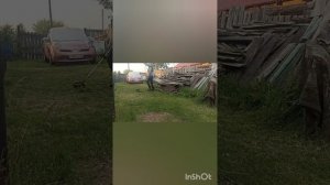Влог 15 июня 2025/Алтайский край