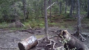 До встречи осенью 2025