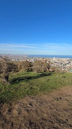 нива пушка честно говоря. нива в Махачкале.
