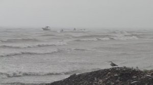 🌊 Шторм на море. Кемпинг под Джубгой