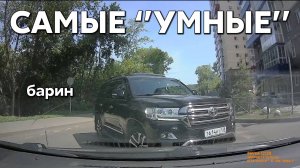 Подборка САМЫХ "УМНЫХ" водителей #1147