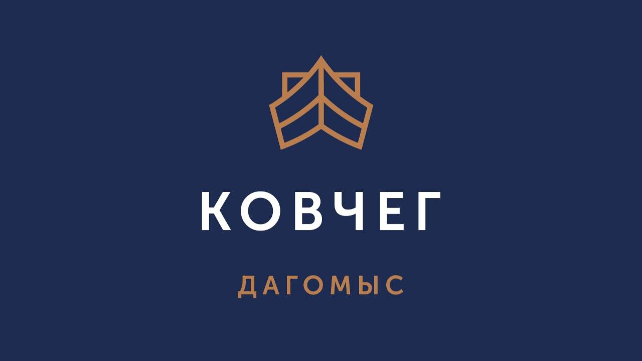 Руководство к действию.Дмитрий Некрасов