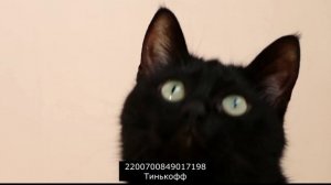 Мошенники 2 серия