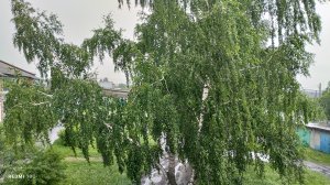 У нас сегодня опять шёл дождь и была гроза