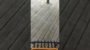 Селятино приключение Ромы и Маши беседка серия 5 мультики для детей (только для детей) 0+