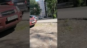 Здоровый образ жизни
