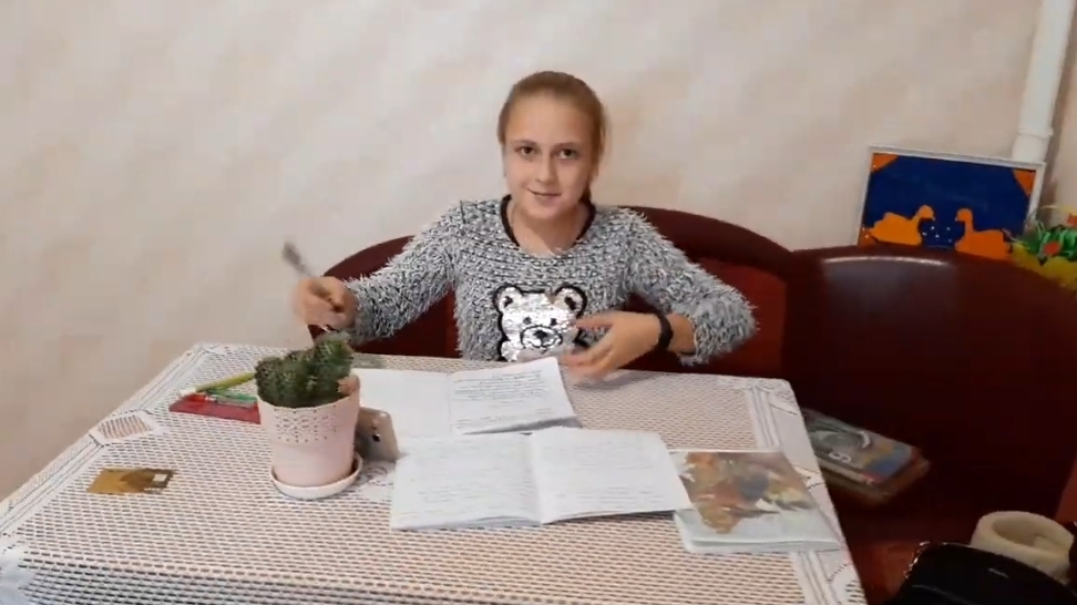 Воспоминания 2020г. Понедельник. Ездила в школу написала заявление...