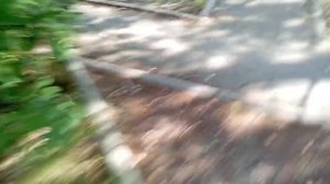 Даниил Жёлтышев, Разах - Поход в армию (из альбома Даниила Жёлтышева "О жизни")