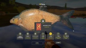 Русская Рыбалка 4-Задание Экстра: Поймать Леща массой не менее 2,5 кг р. Сура