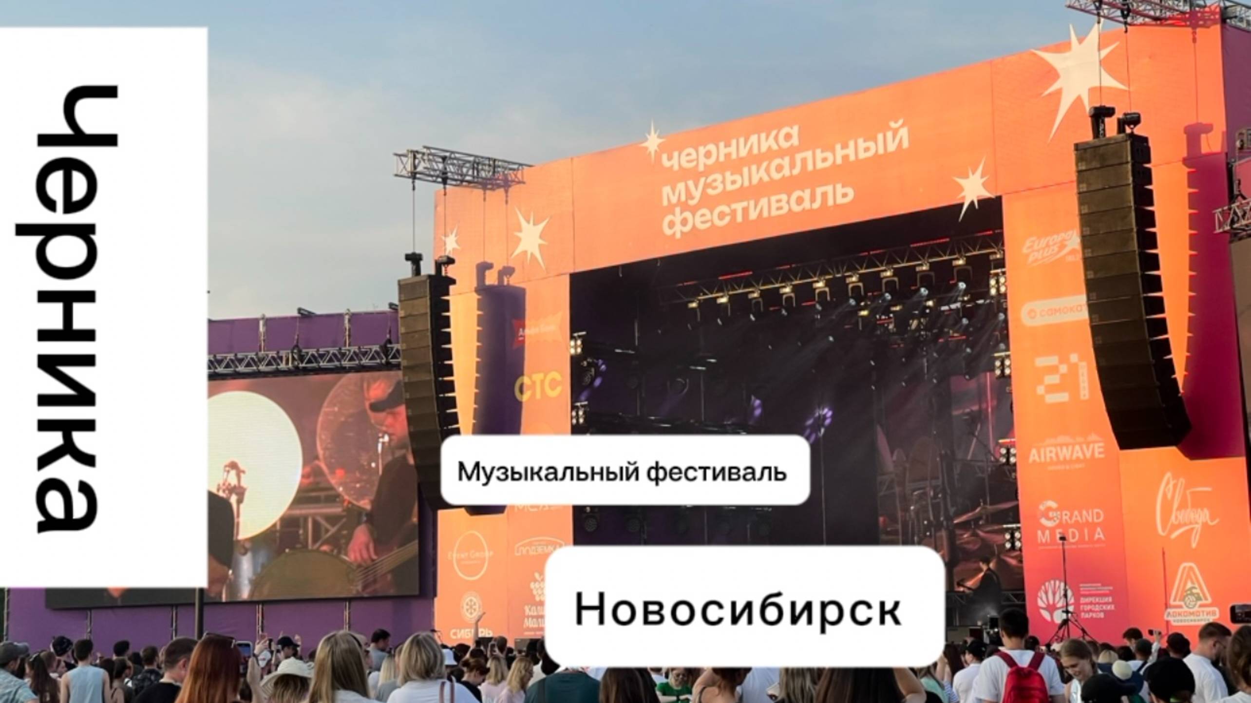 Черника 2025 Новосибирск