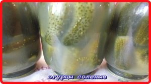 СОЛЕНЫЕ ОГУРЦЫ В БАНКАХ как из бочки хранятся в комнате