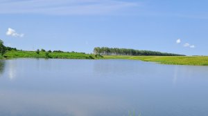 Утренняя рыбалка на карася в траве