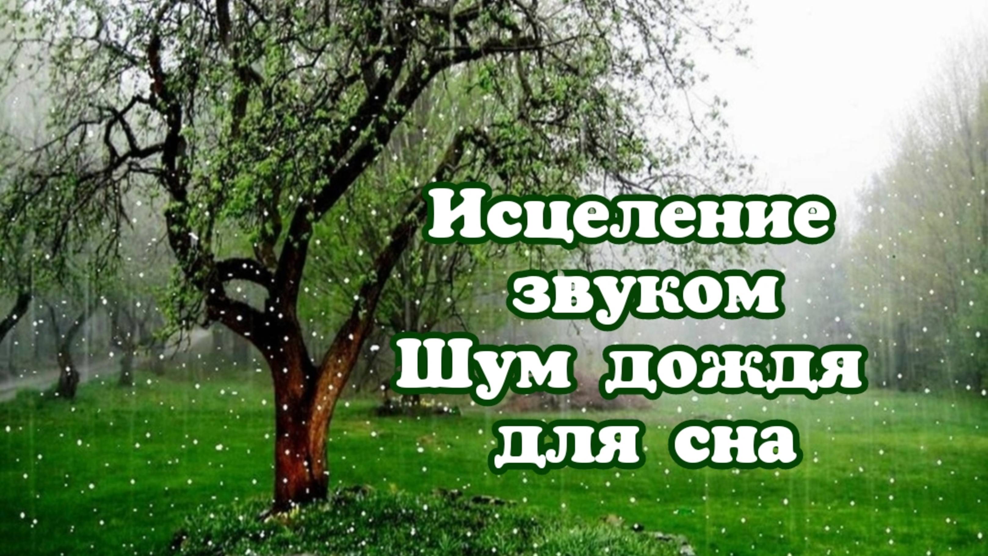 Музыкальная терапия. Звуки природы для сна. Шум дождя для сна. Целительство звуками. Музыка для сна смотреть онлайн