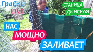 935 серия 15.06.25 На Юге холодно и ливни / Жизнь в станице Динская после переезда на Юг