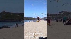 VID-20250615-WA0317